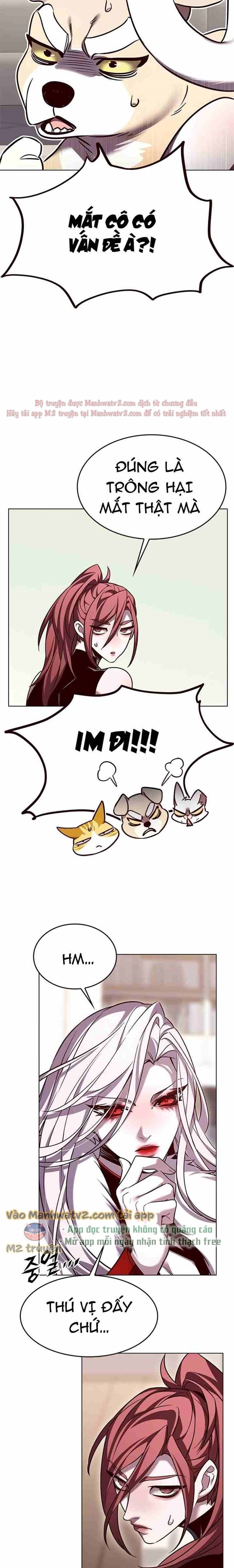 Đọc truyện Hóa thân thành mèo (Bản Free) - Chap 308